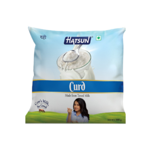 Hatsun Curd 500g