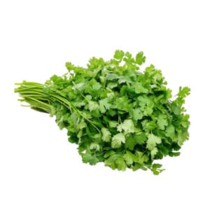 Coriander leaves