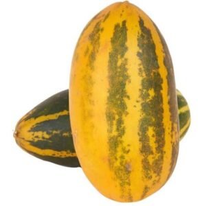 Cucumber Malabar