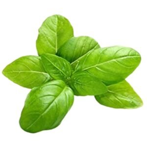 Greens Basil 1kg