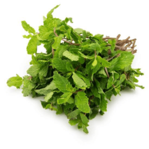 Mint leaves