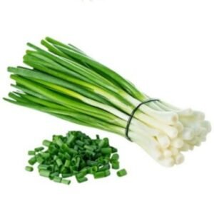 Onion Leaf