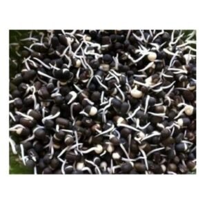 Sprouts Black Gram 200g