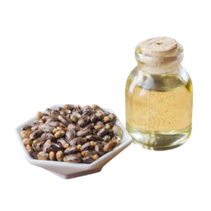 Castor Oil 100ml