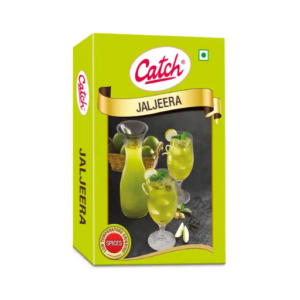 Catch Jaljeera Masala Powder