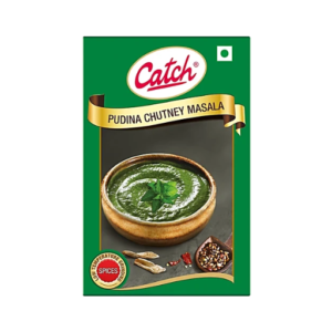 Catch Pudina Chutney Masala 100g