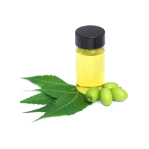Neem Oil 100ml